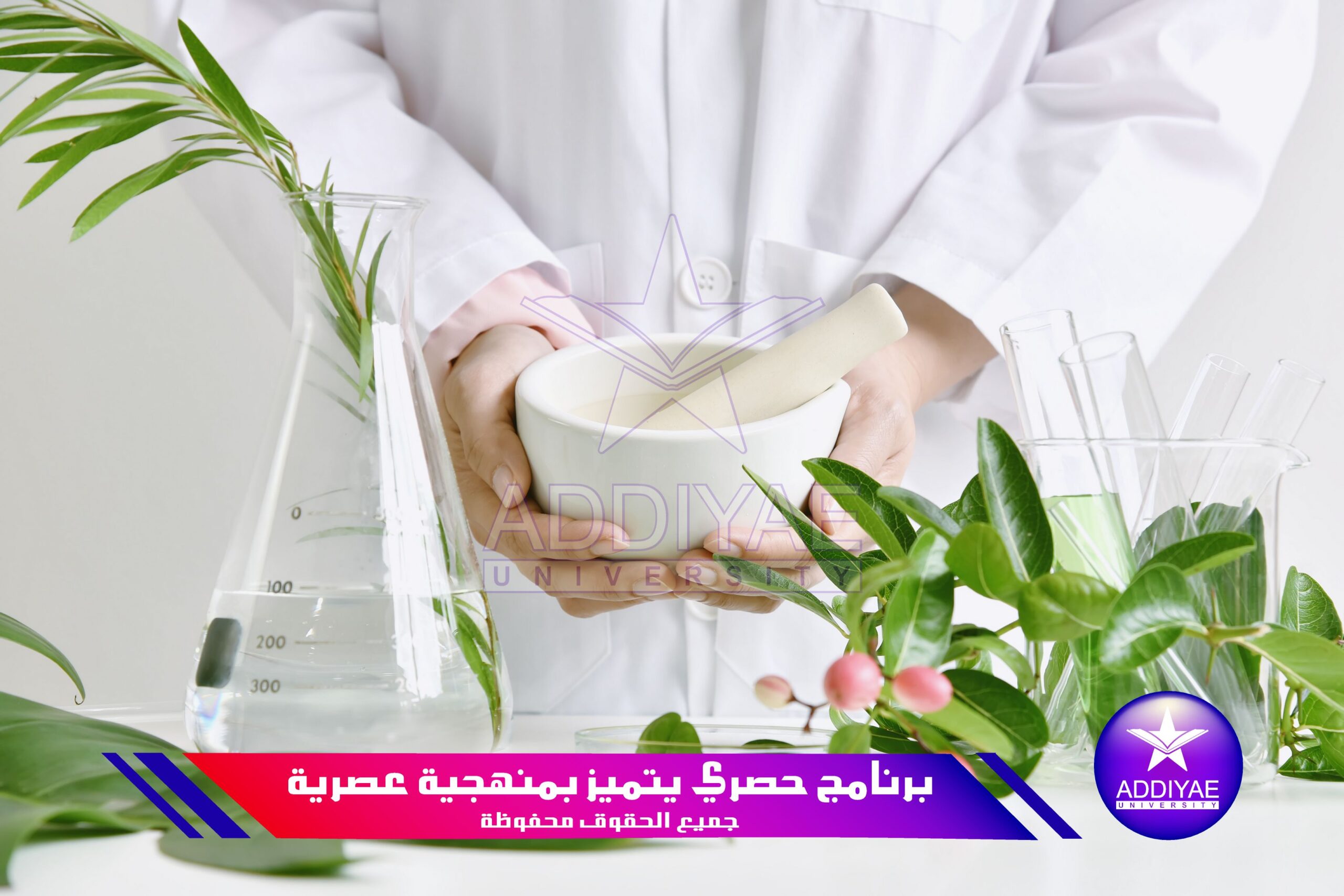 Alternative herbal medicine, Mortar with healing botanical herbs
